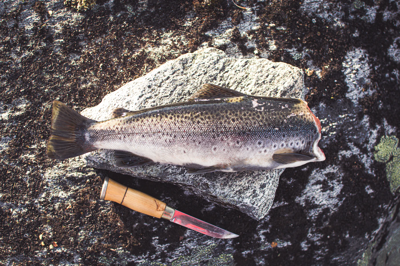 Fishing